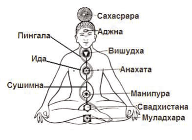 Строение энергетического тела с точки зрения индийских йогов